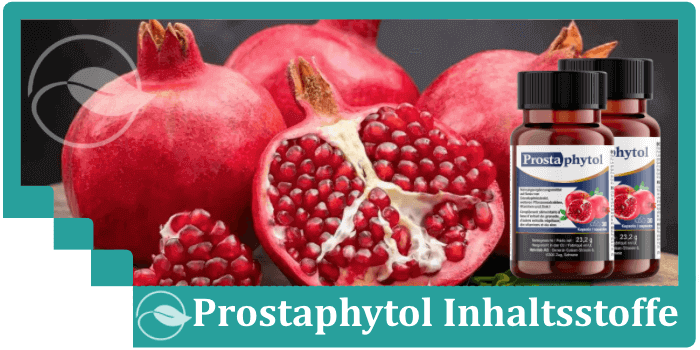 Prostaphytol Inhalsstoffe Wirkstoffe Wirkung