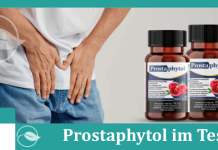 Prostaphytol Titelbild