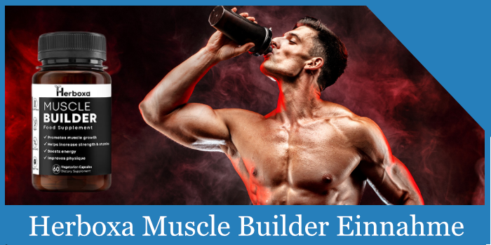 herboxa muscle builder einnahme dosierung